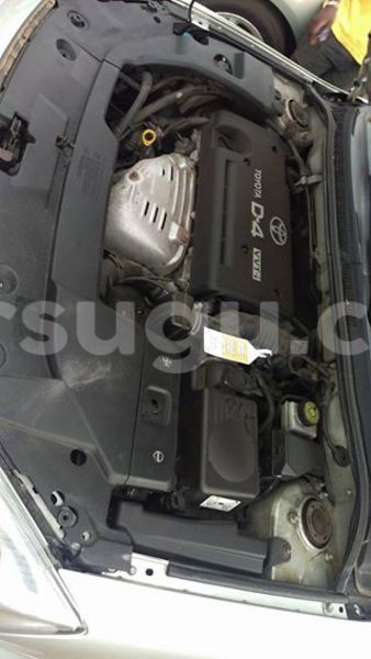 Big with watermark 22