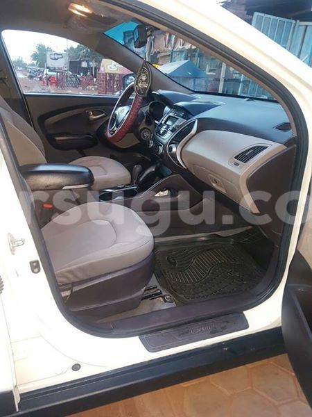 Big with watermark 55