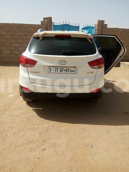 Big with watermark 555