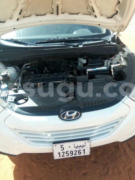 Big with watermark 5555