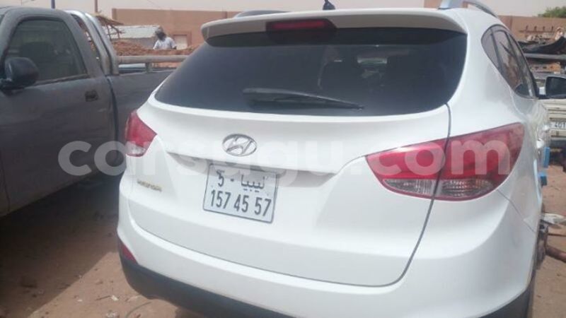 Big with watermark 5555555