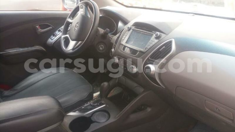 Big with watermark 555555555555555555555