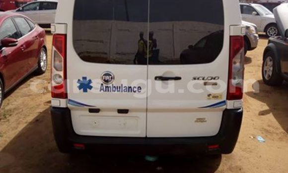 Buy New Fiat Palio White Car in Ouagadougou in Burkina Faso Buy New Fiat Palio White Car in Ouagadougou in Burkina Faso