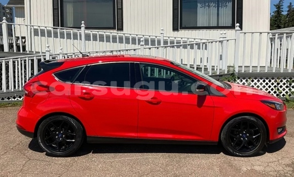 Buy Used Ford Focus Red Car in Ouagadougou in Burkina Faso Buy Used Ford Focus Red Car in Ouagadougou in Burkina Faso