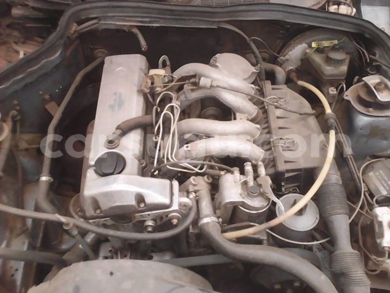 Big with watermark 100