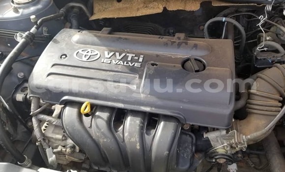 Buy Used Toyota Corolla Other Car in Ouagadougou in Burkina Faso Buy Used Toyota Corolla Other Car in Ouagadougou in Burkina Faso