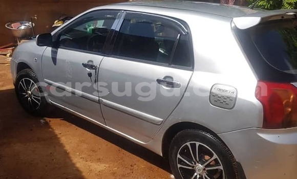 Buy Used Toyota Corolla Silver Car in Ouagadougou in Burkina Faso Buy Used Toyota Corolla Silver Car in Ouagadougou in Burkina Faso