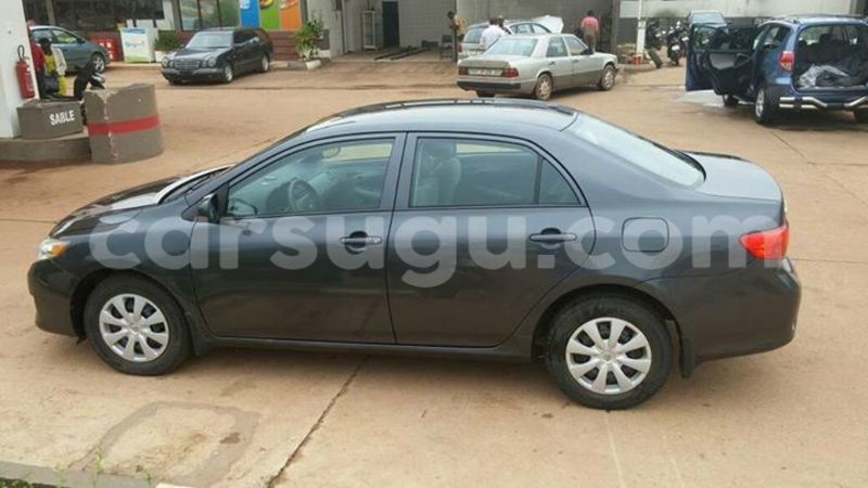 Big with watermark 2222222