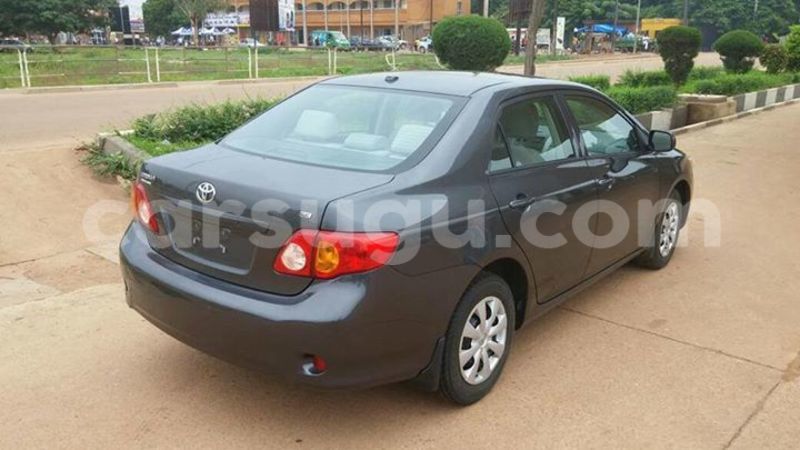 Big with watermark 22222