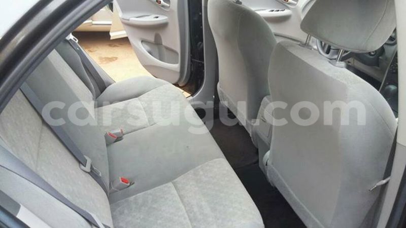 Big with watermark 2