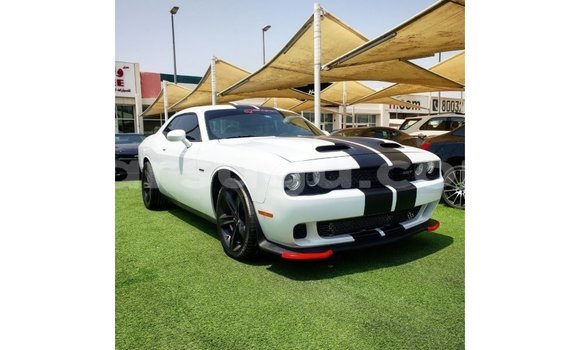 Sayi Imported Dodge Challenger White Mota in Import - Dubai a Burkina Faso