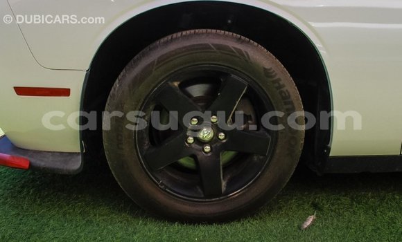 Acheter Import Voiture Dodge Challenger Blanc à Import - Dubai, Burkina-Faso Acheter Import Voiture Dodge Challenger Blanc à Import - Dubai, Burkina-Faso