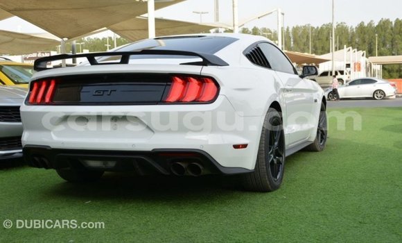 Acheter Import Voiture Ford Mustang Blanc à Import - Dubai, Burkina-Faso Acheter Import Voiture Ford Mustang Blanc à Import - Dubai, Burkina-Faso