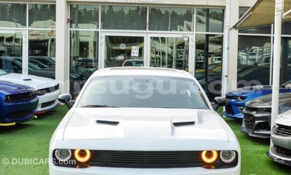 Acheter Import Voiture Dodge Challenger Blanc à Import - Dubai, Burkina-Faso Acheter Import Voiture Dodge Challenger Blanc à Import - Dubai, Burkina-Faso
