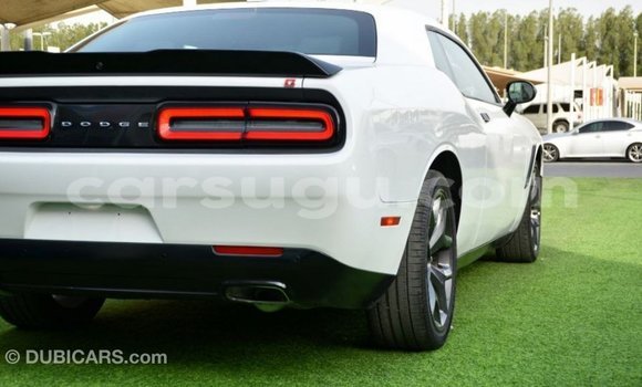 Acheter Import Voiture Dodge Challenger Blanc à Import - Dubai, Burkina-Faso Acheter Import Voiture Dodge Challenger Blanc à Import - Dubai, Burkina-Faso