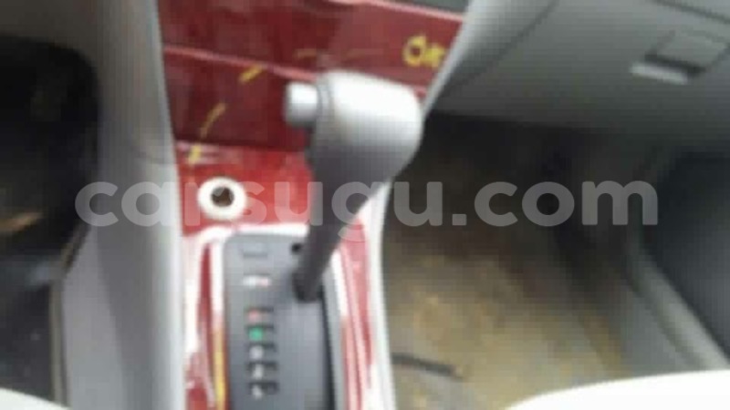 Big with watermark img 0958