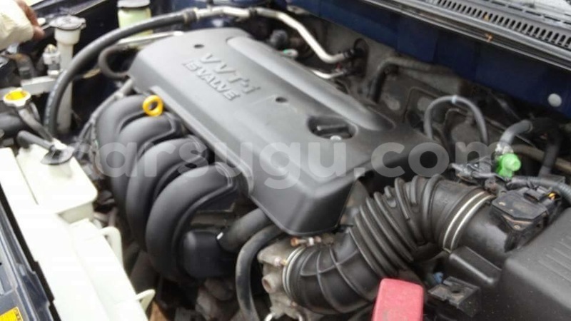 Big with watermark img 0957