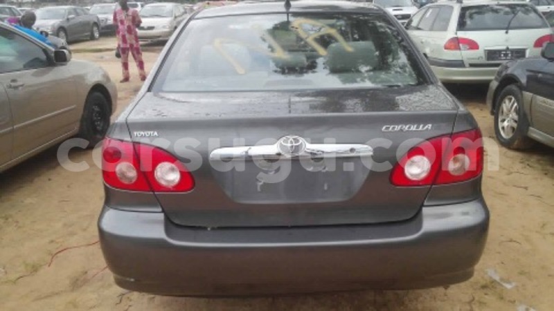 Big with watermark img 0960