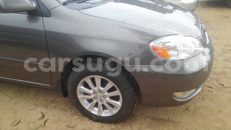 Big with watermark img 0961