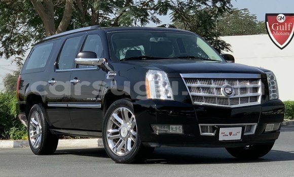 Sayi Imported Cadillac Escalade Black Mota in Import - Dubai a Burkina Faso