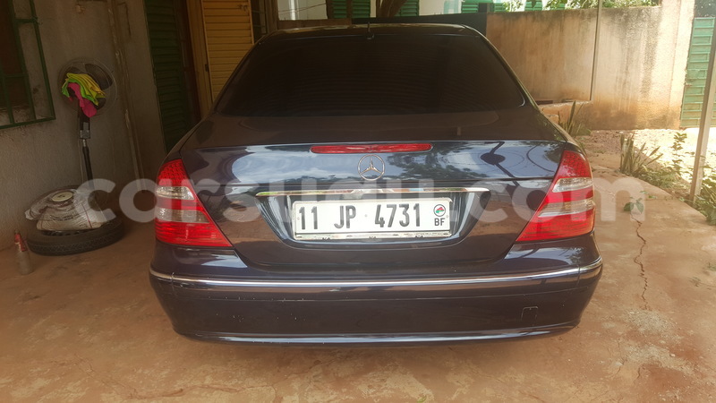 Big with watermark 20170815 122933