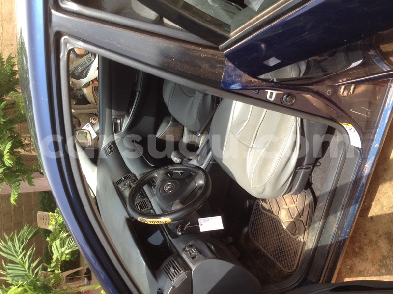 Big with watermark image