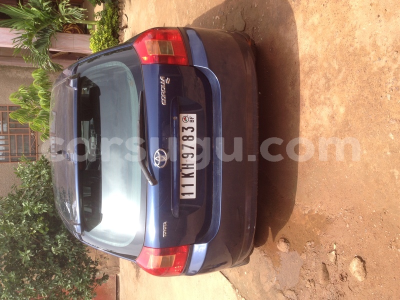 Big with watermark image