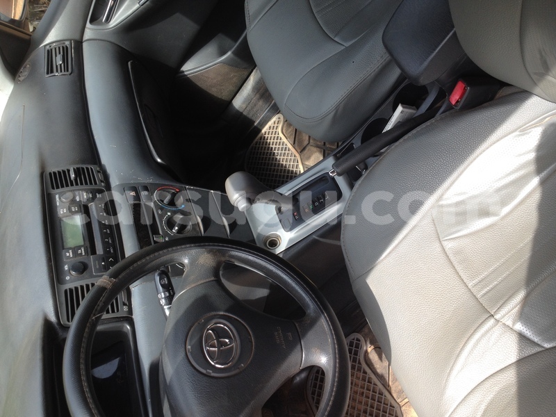 Big with watermark image