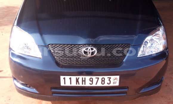Acheter Occasion Voiture Toyota Corolla Bleu à Ouagadougou au Burkina-Faso Acheter Occasion Voiture Toyota Corolla Bleu à Ouagadougou au Burkina-Faso