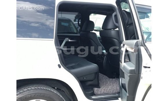 Sayi Imported Toyota Land Cruiser White Mota in Import - Dubai a Burkina Faso Sayi Imported Toyota Land Cruiser White Mota in Import - Dubai a Burkina Faso