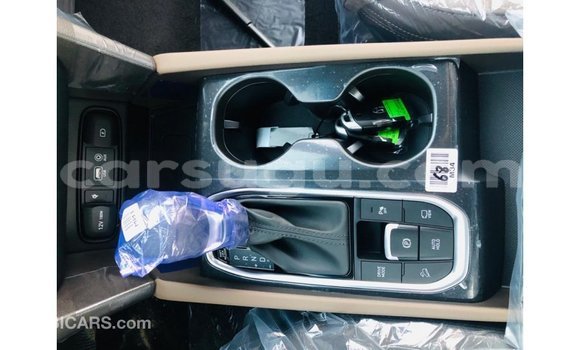 Sayi Imported Hyundai Santa Fe Brown Mota in Import - Dubai a Burkina Faso Sayi Imported Hyundai Santa Fe Brown Mota in Import - Dubai a Burkina Faso