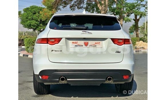 Sayi Imported Jaguar F-Pace White Mota in Import - Dubai a Burkina Faso Sayi Imported Jaguar F-Pace White Mota in Import - Dubai a Burkina Faso