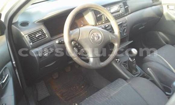 Acheter Neuf Voiture Kia Sorento Gris à Ouagadougou, Burkina-Faso Acheter Neuf Voiture Kia Sorento Gris à Ouagadougou, Burkina-Faso