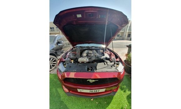 Sayi Imported Ford Mustang Red Mota in Import - Dubai a Burkina Faso Sayi Imported Ford Mustang Red Mota in Import - Dubai a Burkina Faso