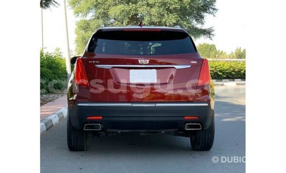Acheter Import Voiture Cadillac XT5 Rouge à Import - Dubai, Burkina-Faso Acheter Import Voiture Cadillac XT5 Rouge à Import - Dubai, Burkina-Faso