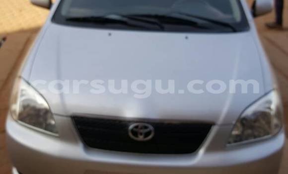 Acheter Occasion Voiture Toyota Corolla Gris à Ouagadougou au Burkina-Faso Acheter Occasion Voiture Toyota Corolla Gris à Ouagadougou au Burkina-Faso