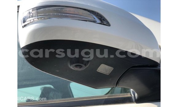 Sayi Imported Toyota Land Cruiser White Mota in Import - Dubai a Burkina Faso Sayi Imported Toyota Land Cruiser White Mota in Import - Dubai a Burkina Faso