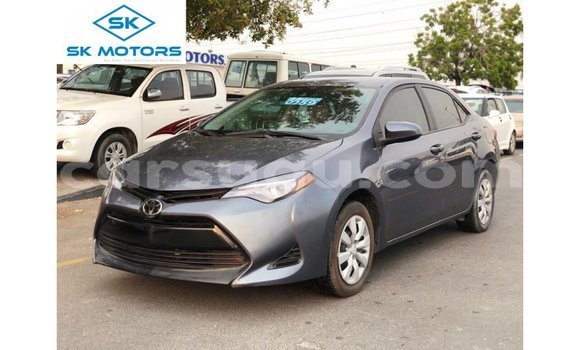 Buy Import Toyota Corolla Other Car in Import - Dubai in Burkina Faso