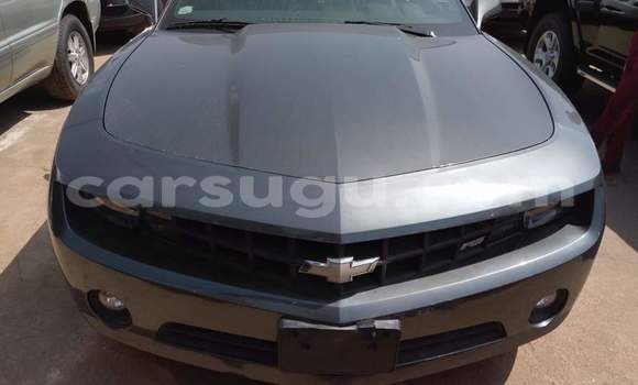 Acheter Occasion Voiture Chevrolet Camaro Noir à Ouagadougou au Burkina-Faso Acheter Occasion Voiture Chevrolet Camaro Noir à Ouagadougou au Burkina-Faso