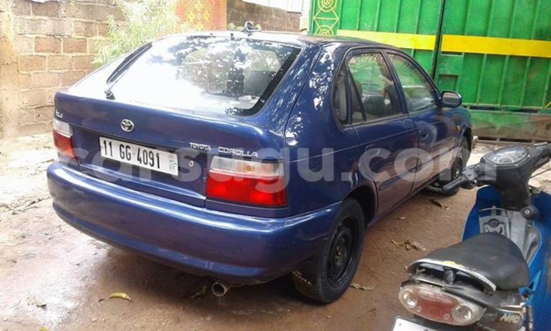 Big with watermark 13770419 574680662736835 2800667080720346205 n