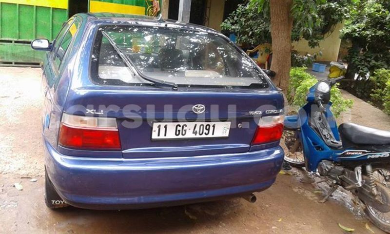 Big with watermark 13775486 574680639403504 1601188468910501021 n