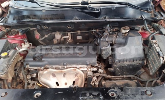 Buy Used Toyota RAV4 Red Car in Ouahigouya in Burkina Faso Buy Used Toyota RAV4 Red Car in Ouahigouya in Burkina Faso