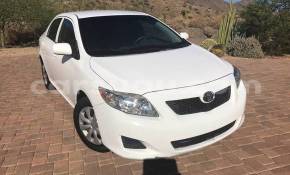 Sayi Na hannu Toyota Corolla Brown Mota in Bobo Dioulasso a Burkina Faso Sayi Na hannu Toyota Corolla Brown Mota in Bobo Dioulasso a Burkina Faso