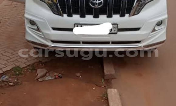 Sayi Na hannu Toyota Land Cruiser Prado White Mota in Aribinda a Soum Sayi Na hannu Toyota Land Cruiser Prado White Mota in Aribinda a Soum