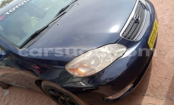 Buy Used Toyota Corolla Blue Car in Aribinda in Soum Buy Used Toyota Corolla Blue Car in Aribinda in Soum