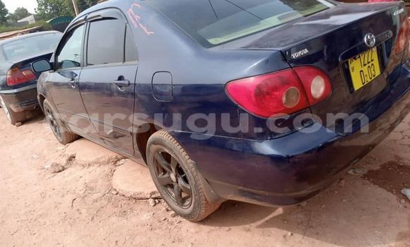 Buy Used Toyota Corolla Blue Car in Aribinda in Soum Buy Used Toyota Corolla Blue Car in Aribinda in Soum