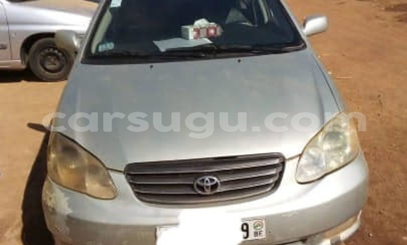 Acheter Occasion Voiture Toyota Corolla Gris à Aribinda, Soum Acheter Occasion Voiture Toyota Corolla Gris à Aribinda, Soum