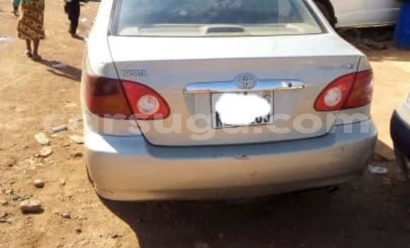Acheter Occasion Voiture Toyota Corolla Gris à Aribinda, Soum Acheter Occasion Voiture Toyota Corolla Gris à Aribinda, Soum