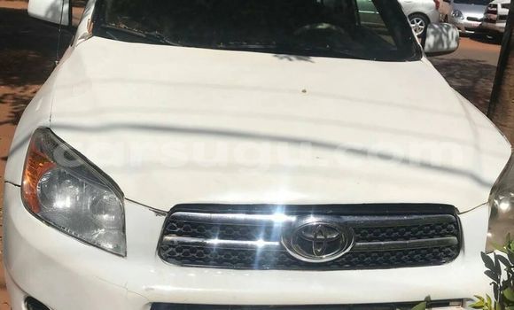Buy Used Toyota RAV4 White Car in Ouagadougou in Burkina Faso Buy Used Toyota RAV4 White Car in Ouagadougou in Burkina Faso