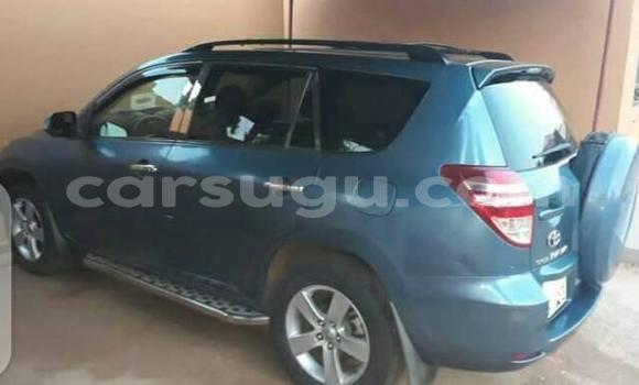 Buy Used Toyota RAV4 Blue Car in Ouagadougou in Burkina Faso Buy Used Toyota RAV4 Blue Car in Ouagadougou in Burkina Faso